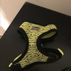 XS dog harness
